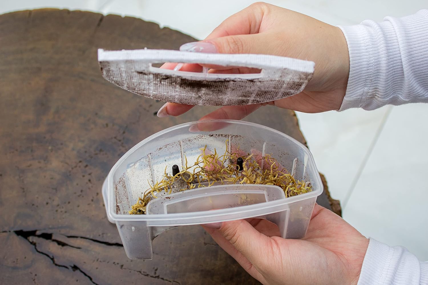 WAP Aspirador de Pó Robô ROBOT W90 3 em 1 Automático 250ml Sistema Antiqueda e Rodas Emborrachadas 30W 3 6VDC Bivolt - Premium